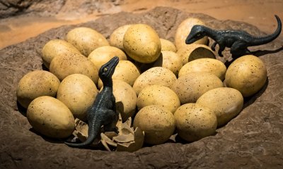 Dinosaur-nest-with-younglings.jpg