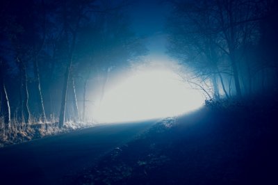 Forest-Light-UFO.jpg