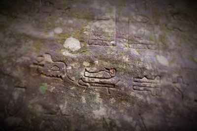 Gosford-Glyphs-2.jpg