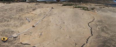 Mystery-Greek-Footprints.jpg
