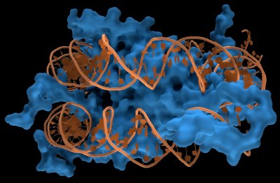 Nucleosome.jpg