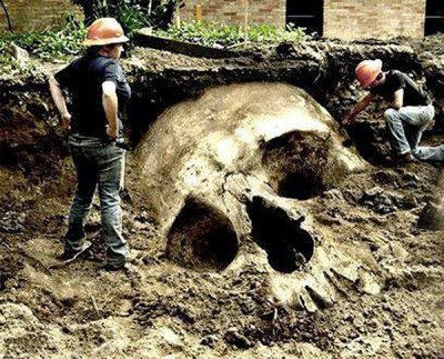 giant-skull.jpg