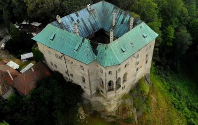 Housku nechal postavit Přemysl Otakar II. jako pozoruhodný královský hrad, ale brzy ji prodal šlechtickému rodu, který ji vlastnil až do první světové války.