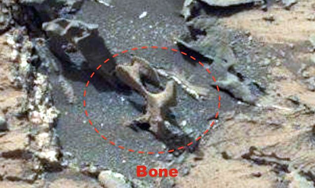 Bones-on-Mars-3.jpg