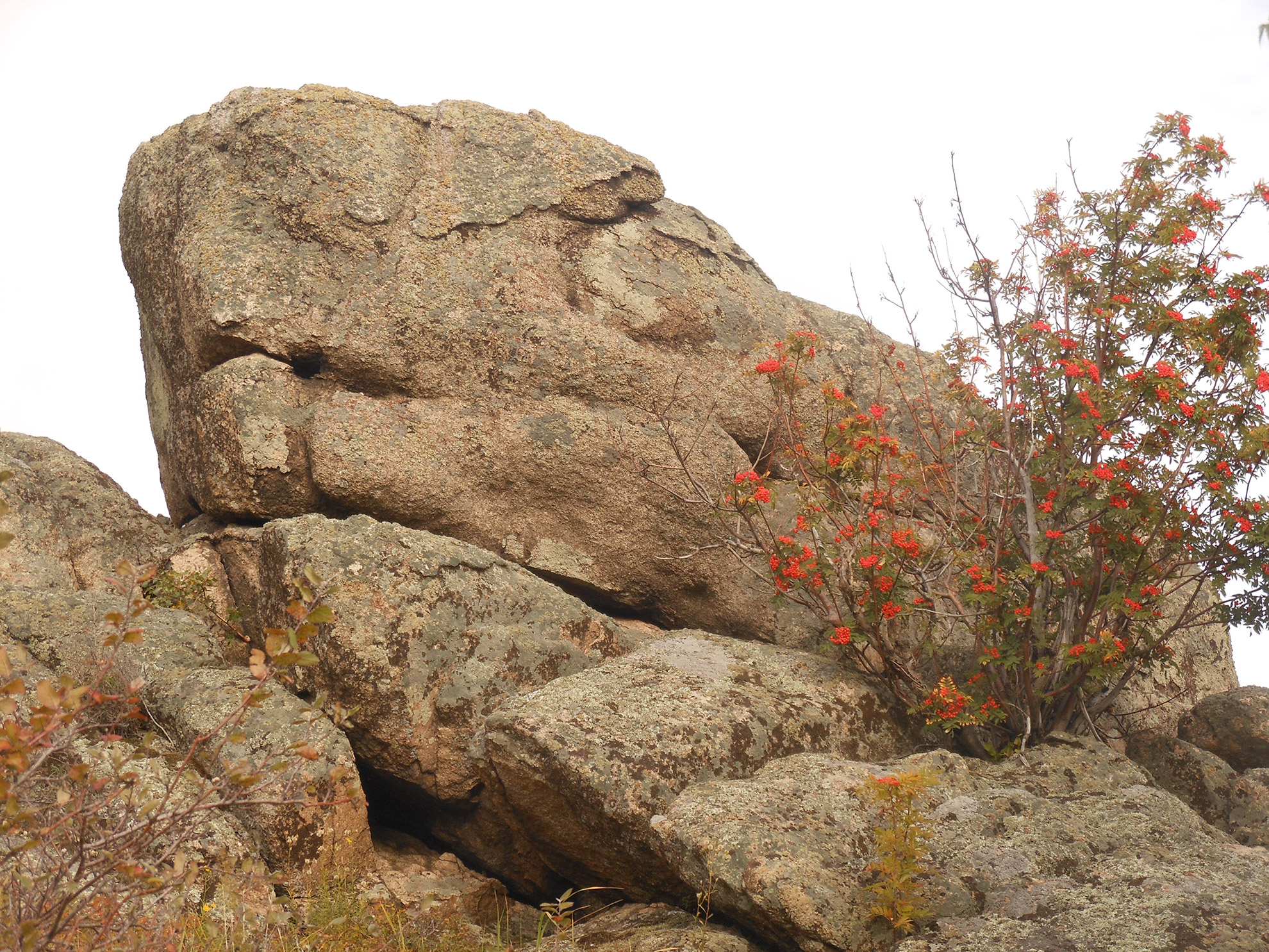 "Drak", starodávný megalit objevený v Ruském pohoří Altai.