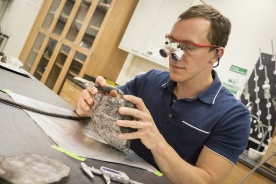 Erik Gulbranson, paleoekolog v hostující asistent profesora na UWM, zkoumá vzorky fosilizovaných stromů z Antarktidy.
