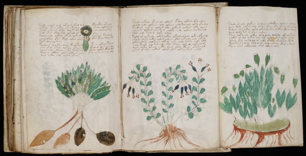 Voynichův rukopis je jedním z nejzáhadnějších středověkých rukopisů.