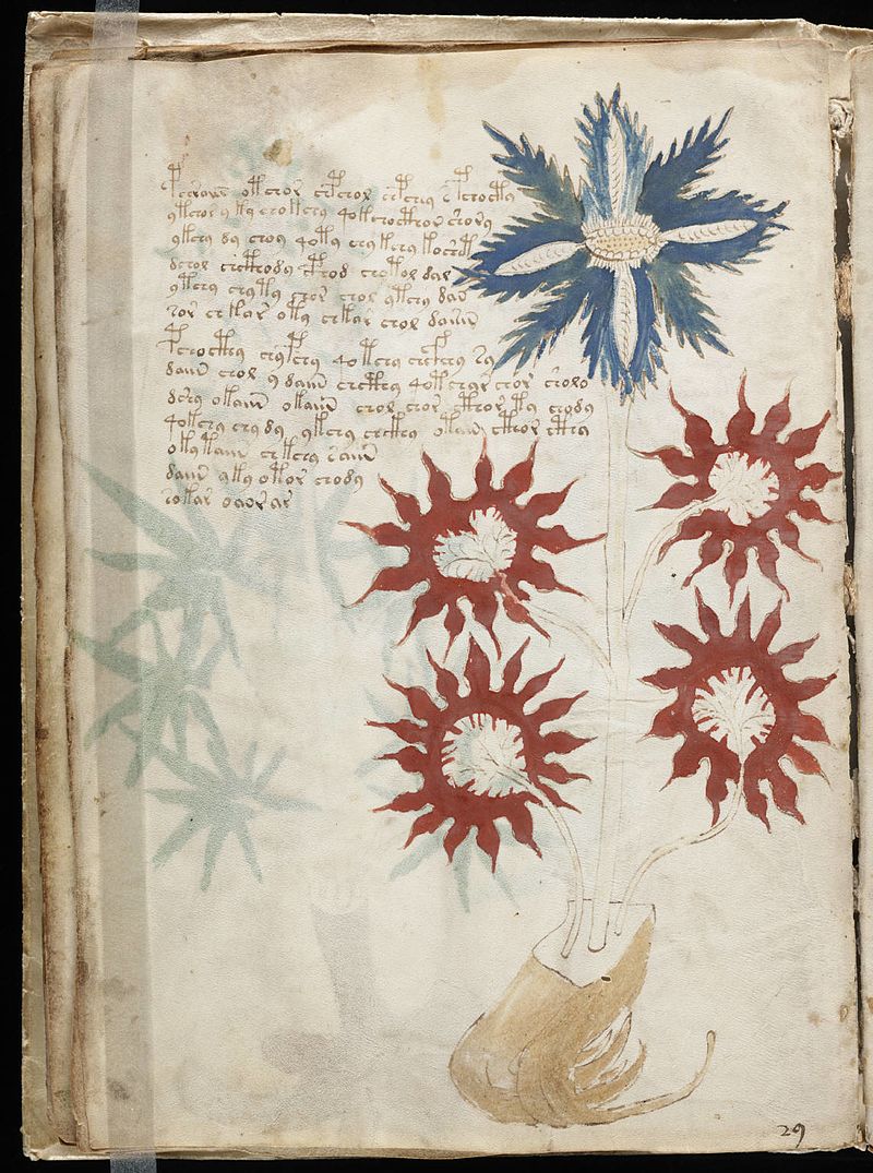 Voynich-manuscript-2.jpg