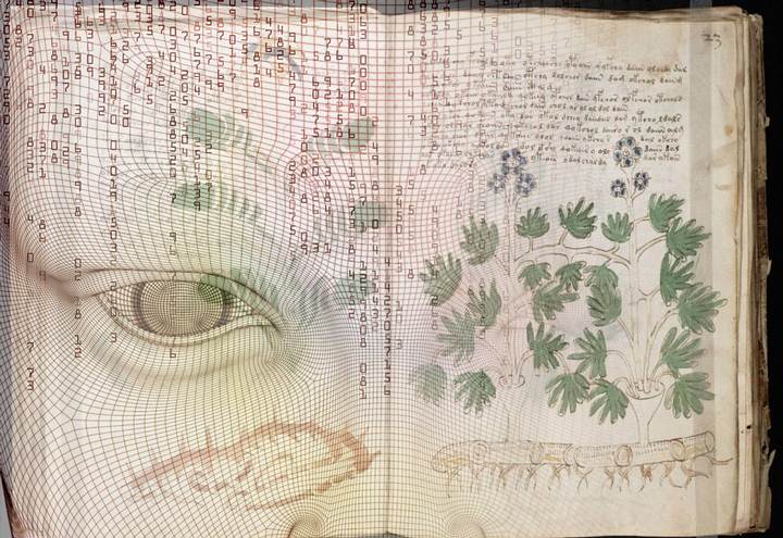 Rozluštila umělá inteligence Voynichův rukopis?