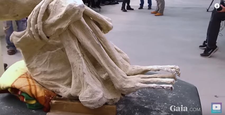 Alien-mummy-from-Peru.jpg