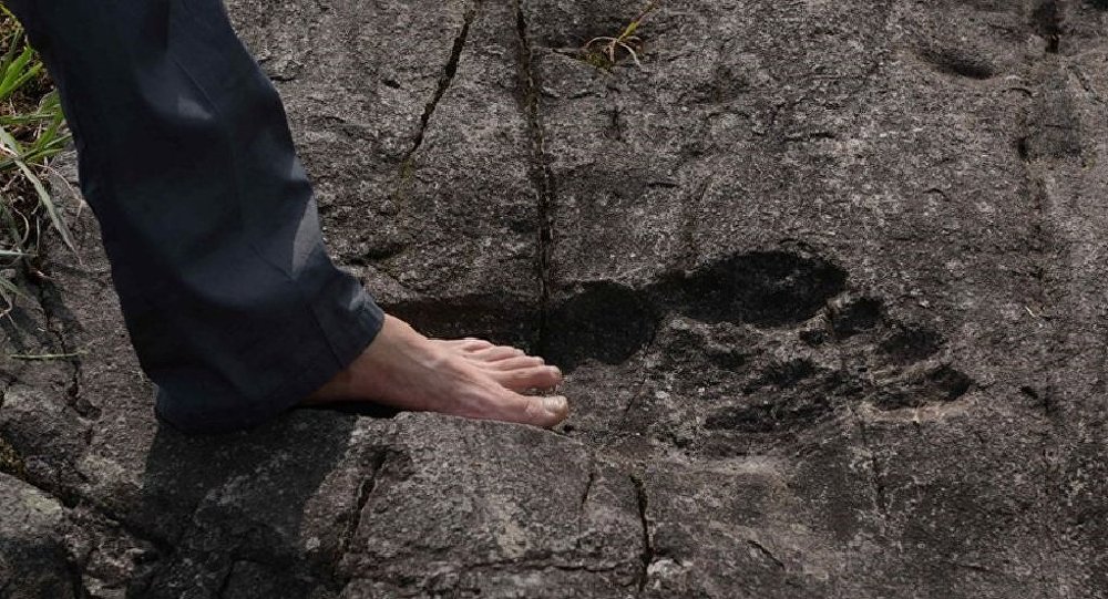 Obrovská zkamenělá stopa nalezená v Číně.