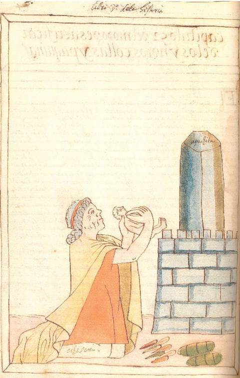 Ilustrace Martína de Murúa ze 16 století, pravděpodobně zobrazující saywu.