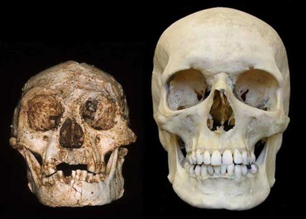 Lebka Homo floresiensis ("hobit") (vlevo) a lebka moderního člověka (vpravo).